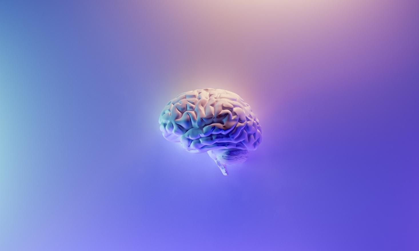 Purple background with image of purple and blue human brain